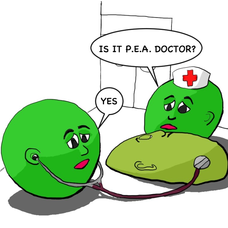 PEA Arrest