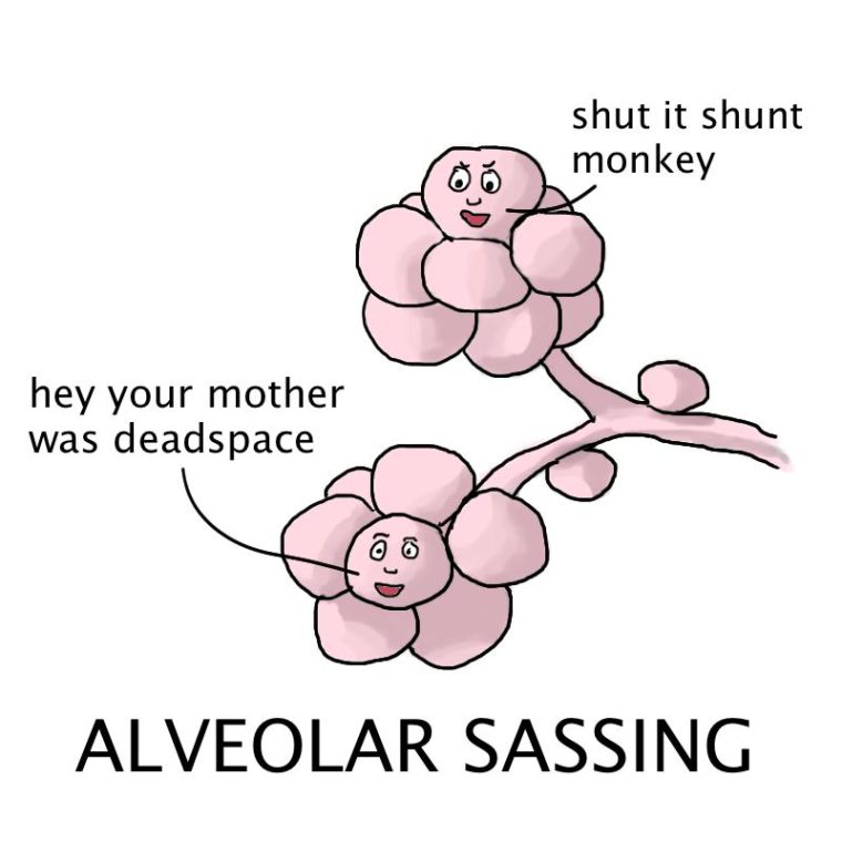 Alveolar Sassing